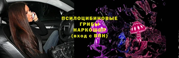 сатива Вяземский