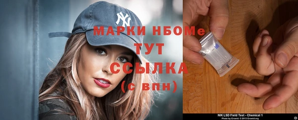сатива Вяземский