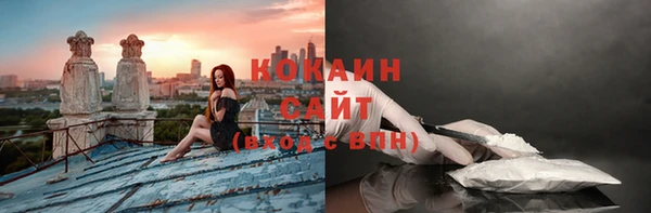 соль ск Горно-Алтайск