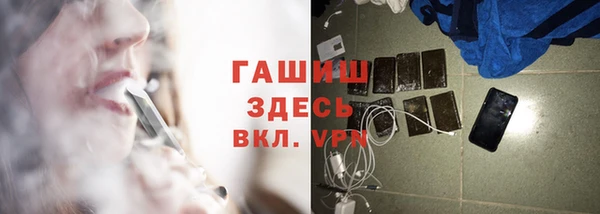 сатива Вяземский
