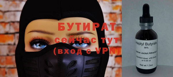 сатива Вяземский