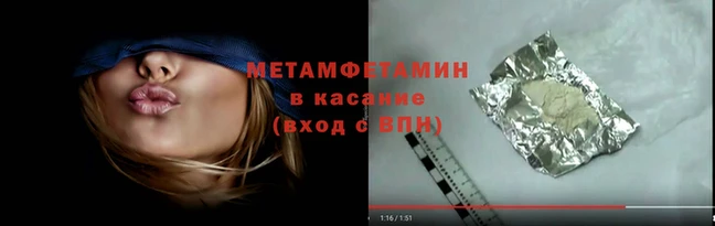 сатива Вяземский