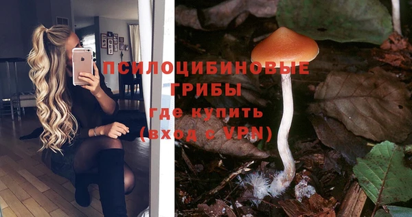 mix Горняк