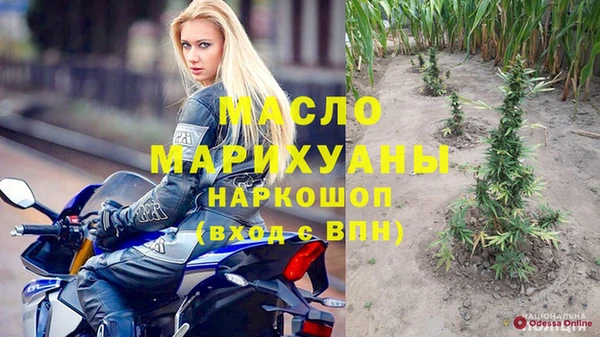 сатива Вяземский