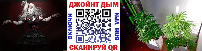 Каннабис планчик  где можно купить   Жиздра 